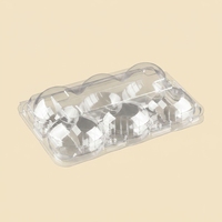 Boîte d'emballage alimentaire transparente pour mini-pâtisseries, gâteaux, kiwis, fruits, avec couvercle à boucle, 6 cavités, en PET écologique, 80x60mm, 250x155x70mm, haute transparence