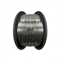 Modèle 0099890 Alliage Nickel-Titane SMA à Mémoire de Forme Haute Élasticité Vente en Gros Personnalisable Fabriqué en Chine Application