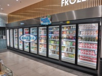 Congélateur commercial à économie d'énergie pour aliments surgelés, vitrine de supermarché, réfrigérateurs verticaux, réfrigérateur de présentation, portes en verre, congélation