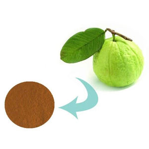 グアバ葉エキスパウダー - Product Image 4