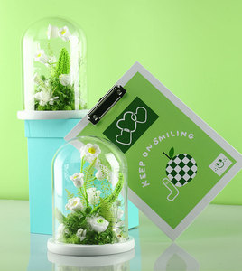 Rose éternelle en crochet sous cloche en verre, terrarium artisanal <span class=keywords><strong>de</strong></span> muguet et <span class=keywords><strong>de</strong></span> mousse, cadeau pour elle, décoration maison Fête des Mères - Product Image 3