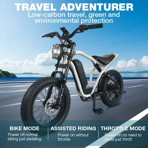 2023 China nuevo diseño producto fábrica bicicletas montaneras retro adulto 2 ruedas bicicleta eléctrica - Product Image 3