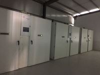 Ensemble complet d'incubateur et d'éclosion électrique automatique à étages pour œufs de chair de volaille, de canard et de poulet avec une échelle de grande capacité