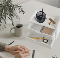 Articles promotionnels : Organisateur de bureau en bois blanc classique rectangulaire avec 2 tiroirs, mini étagère de rangement mignonne, portable et étanche pour table.