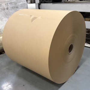Rouleau de papier enduit de PE, grammage personnalisé 150-320 g/m², matière première imperméable pour l'emballage alimentaire, directement de l'usine - Product Image 6