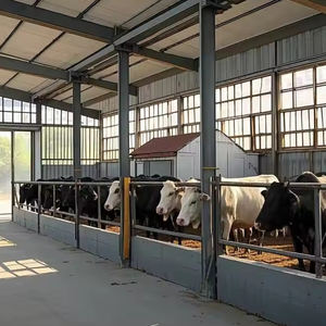 Chine prix bon marché et haute qualité chèvre mouton hangar ferme maison bâtiments entrepôts industriels structure en acier pour supermarché - Product Image 4