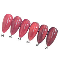 Bouteille OEM 1 kg diamant rubis rouge Ensemble de vernis gel pour les yeux de chat 6 couleurs Vernis à ongles gel pour les yeux de chat Échantillon gratuit de gel de marque privée