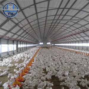 Poulailler commercial préfabriqué moderne avec structure en acier, <span class=keywords><strong>hangar</strong></span> pour poules pondeuses pour ferme avicole à <span class=keywords><strong>vendre</strong></span> - Product Image 5