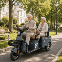 Tricycle électrique d'usine pour personnes âgées avec moteur 800W Batteries 48V Véhicule électrique à 3 roues pour une utilisati