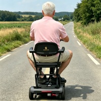 Trottinette Électrique Pliable Portable en Stock UE, Autonomie 25 km, Scooter de Loisirs Léger pour Personnes Âgées, Personnalisation du Logo