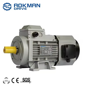 Moteur à induction triphasé à vitesse variable YVF fiable 220/380V, modèle IE3, économie d'énergie, moteur AC pour entraînements de convoyeurs - Product Image 1
