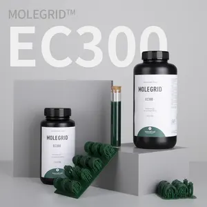 Molegrid gioielli di alta precisione Castable resina Uv cura rapida resina polimerica liquida 1Kg verde nerastro