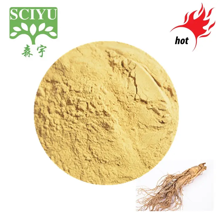 Korea Rode Ginseng Extract Poeder Ginsenoside 5%-80% Ginseng Extract Poeder Koreaans Rood Ginseng Extract