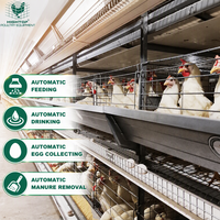 Système de cages automatiques pour poules pondeuses de type H avec système d'alimentation, d'abreuvement, de collecte des œufs et d'évacuation du fumier pour les grandes exploitations avicoles