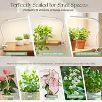 Kit de plantes pour micro-paysage d'intérieur avec lumière de croissance à intensité variable et minuterie pour la décoration de mini-fleurs et de semis de légumes à domicile