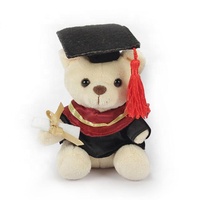 Joli ours en peluche ours en peluche Graduation Teddy Bear