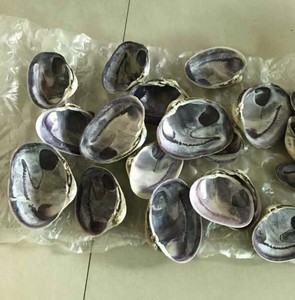 เปลือกหงส์สีม่วงสำหรับตกแต่งงานฝีมือ - Product Image 2