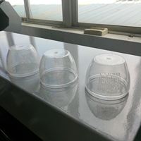 Máquina de impresión de botellas redondas cilíndricas, máquina de impresión de pantalla de seda, Impresión manual en botella de vidrio de plástico, logotipo, impresora de Fecha