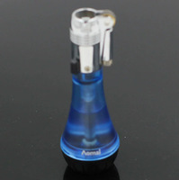 Briquet à gaz rechargeable en métal transparent avec logo personnalisé, roue d'allumage fixe, flamme réglable et feu doux et vif