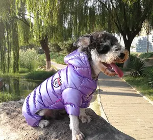 2022 nouvelle De Luxe Pour Animaux de compagnie D'hiver Étanche Chaud Vers Le Bas Veste Chien Rembourré Veste