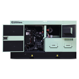 Generatore Diesel Domestico di Piccola Potenza con Motore di Marca Cinese Yangdong, 6kw 8kw 10kw 20kw 50kw 100kw - Product Image 6