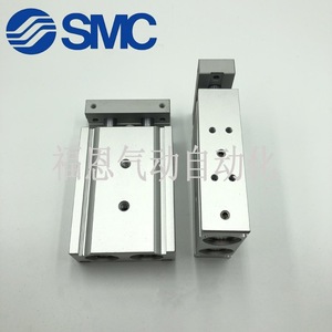 Cylindre pneumatique à double tige et double axe SMC CXSM25 10 20 30 40 50 75 100 125 150 200 300, corps en acier - Product Image 1