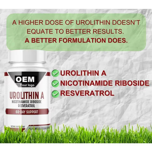 WELLBODY OEM/ODM Factory Supply Urolithin a Kapseln Leistungs starke NAD-Steigerung der Energie Gesunde Vitalität pflege für Erwachsene - Product Image 6
