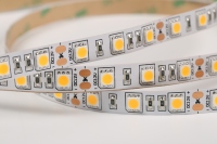 Bande LED Flexible 12V/24V DC pour Bureau, 60 LED 5050SMD, Contrôle à Distance, Intensité Variable, 2700-10000K, 10mm, Qualité Professionnelle