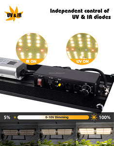 Abest 240W Grow Lights Samsung LM301H Mix Epistar 660nm Full Spectrum 240W Uv Ir Separately Control Led Grow Lights - Product Image 2