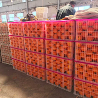 Oranges Navel Fraîches en Gros, Agrumes en Vrac à Bon Prix, Oranges Navel Fraîches de Chine
