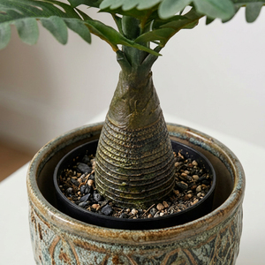 Plante artificielle succulente en pot de table, décoration intérieure pour la maison et le bureau, arrangement moderne de plantes vertes artificielles, idée cadeau - Product Image 4