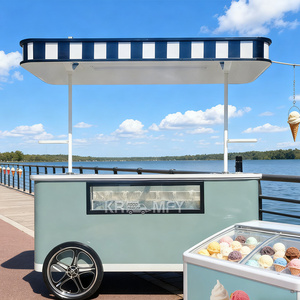 Carrito Eléctrico OEM de Venta Rápida, Precio al por Mayor, Camiones Móviles de Comida para Helados, Fibra de Vidrio - Product Image 1