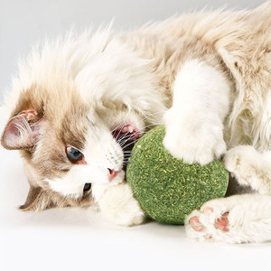 2024 كرات لعبة القطط المضغوطة من عرق القطط و الجرس بداخلها طبيعي بواسطة كرات صغيرة عرق القطط - Product Image 4