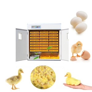 3 In 1 Large Sized Best Incubator Duck Goose Quail Chicken <b>Egg</b> Incubator Hatching <b>Machine</b> For Duck Chicken <b>Eggs</b> - Product Image 5