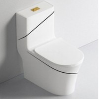 WC moderne de haute qualité avec lignes, en porcelaine, monobloc, couleur céramique, cuvette de toilette