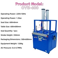 Machine de mise sous vide pneumatique pour vêtements, mousse, éponge, latex, compression de coussins