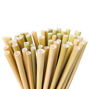 BEST CHOICE Eco2go Vietnam Pajitas de Hierba - Pajitas Reutilizables, Biodegradables y Duraderas para Beber Agua en Campamentos - Product Image 1