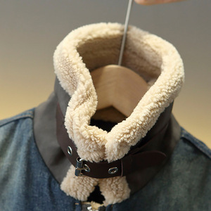 Veste d'hiver pour garçons, nouveau modèle 2025 pour jeunes enfants, automne-hiver, denim épais, manches longues, style court, fermeture éclair - Product Image 5