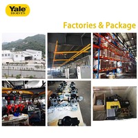Palan à chaîne électrique Anti-inclinaison Yale CPVF avec fonctionnement sans pilote pour grue à broyeur unique