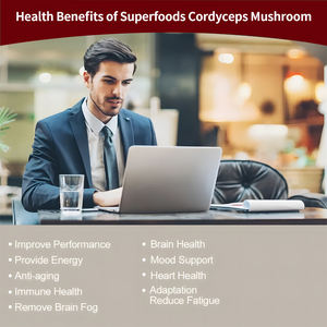 OEM ODM Vegan Complex Mushroom <b>Gummies</b> Powerful Brain Boost Support in Plant Strawberry/Blueberry Flavor for Adults - Product Image 5