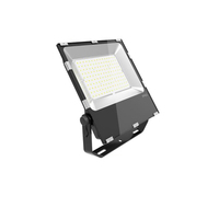 Projecteur LED blanc pur, imperméable conforme à la norme IP65, éclairage de chantier, couleur fluo, 2 ans de garantie, 100/220V, 120 LM/W, 50 W, dernière nouveauté