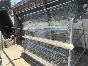 Sistema Moderno de Jaulas Automáticas para la Producción de Huevos de Aves de Corral, Jaula para Pollos - Product Image 5