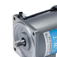 Moteur à engrenages monophasé AC 110V 60Hz 90W, moteur électrique réversible avec boîte de vitesses et contrôleur de vitesse variable pour OEM