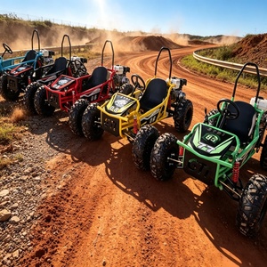 Kart <span class=keywords><strong>électrique</strong></span> <span class=keywords><strong>48V</strong></span> <span class=keywords><strong>1000W</strong></span>, buggy tout-terrain <span class=keywords><strong>8</strong></span> <span class=keywords><strong>pouces</strong></span>, batterie au plomb-acide 48V20AH, frein à disque hydraulique pour course en plein air pour adultes - Product Image 2