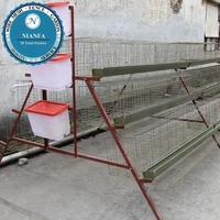 Cage en treillis métallique galvanisé à prix abordable pour cailles et poulets avec système d'abreuvement automatique pour élevage avicole