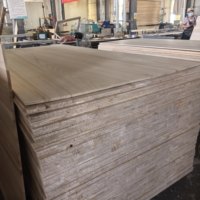 Offre Spéciale : Bois de Paulownia de Haute Qualité à Prix Abordable – Idéal pour Cercueils