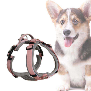 Arnés para Perro C08 Maychan de Poliéster Sólido Personalizado, Cómodo, Ajustable y Reflectante, Talla XS - Product Image 5