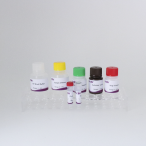 एफएमडीवी मूल 1 एंटीबॉडी एलिसा किट | 96 टी प्लेट | ई प्रमाणित | पैर और मुंह का रोग परीक्षण - Product Image 5