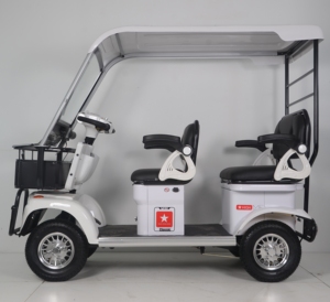 <span class=keywords><strong>Precio</strong></span> de fábrica 1000W Triciclo eléctrico de pasajeros Scooter 48V 60V <span class=keywords><strong>Cuadriciclo</strong></span> eléctrico con cubierta de lluvia de techo - Product Image 2