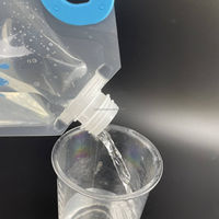 3L 5L gallon eau vin café sac bec poche alimentaire emballage sacs en plastique